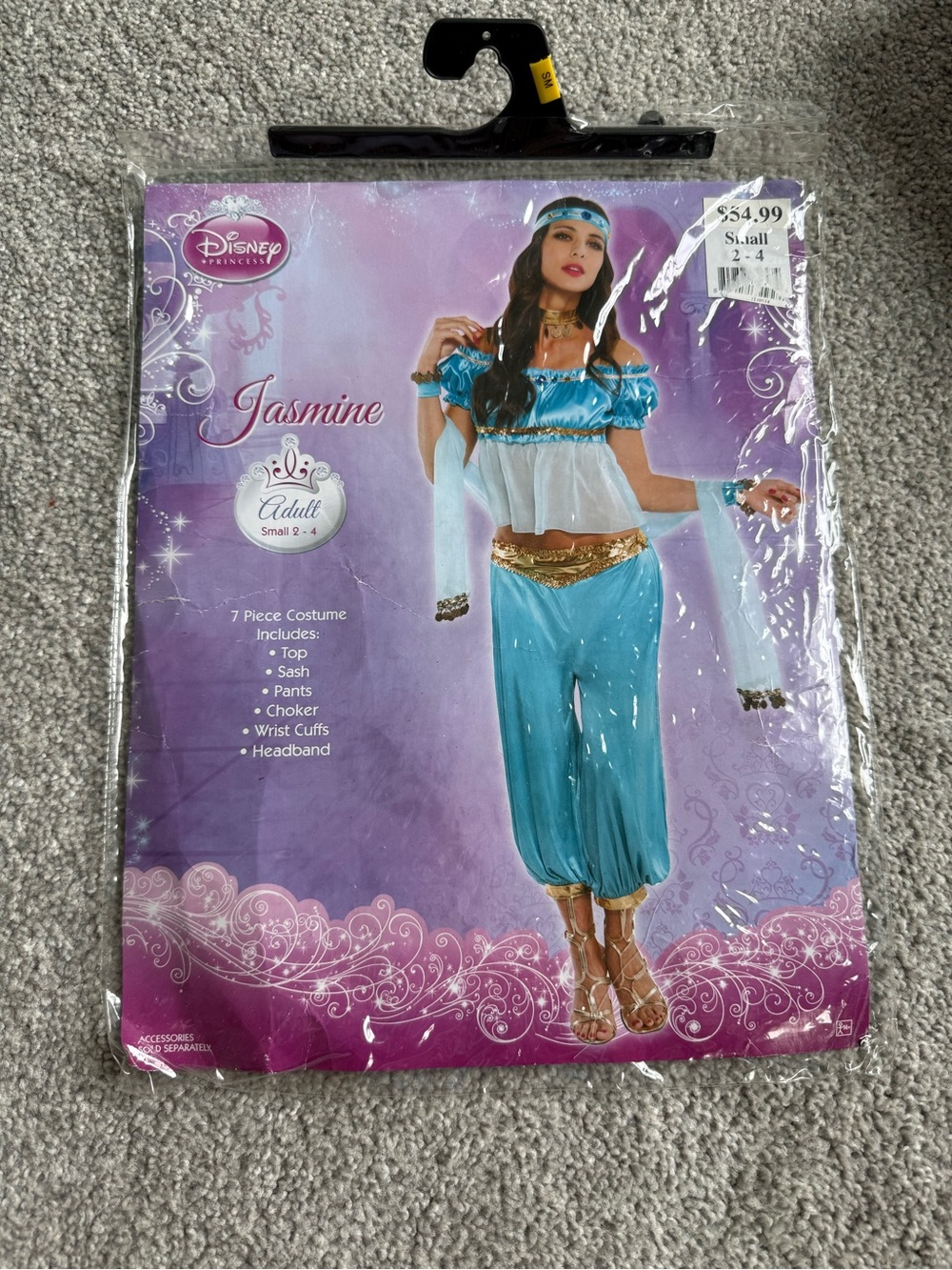 Disney Jasmine Costume in Teal and Gold Accents